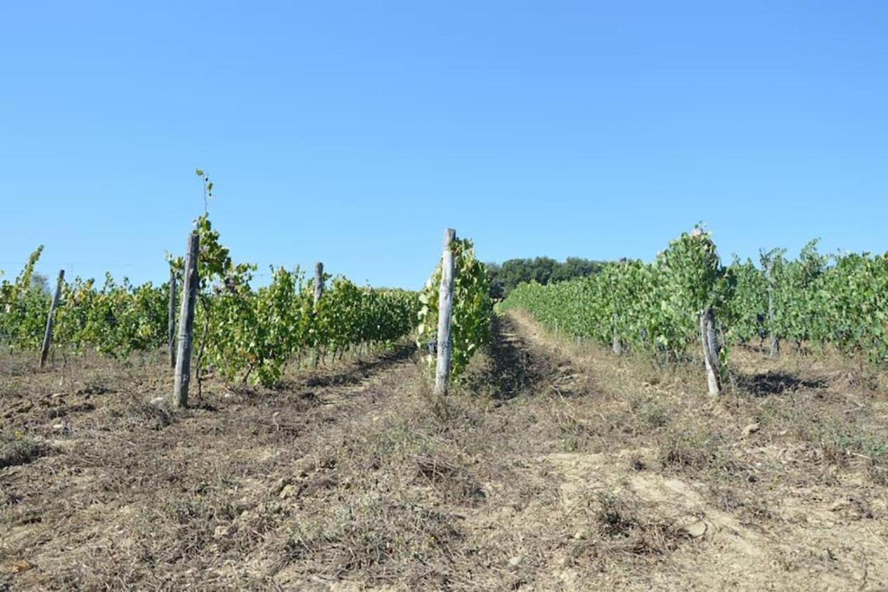 Agriturismo Fattoria Di Statiano โปมารันเช ภายนอก รูปภาพ