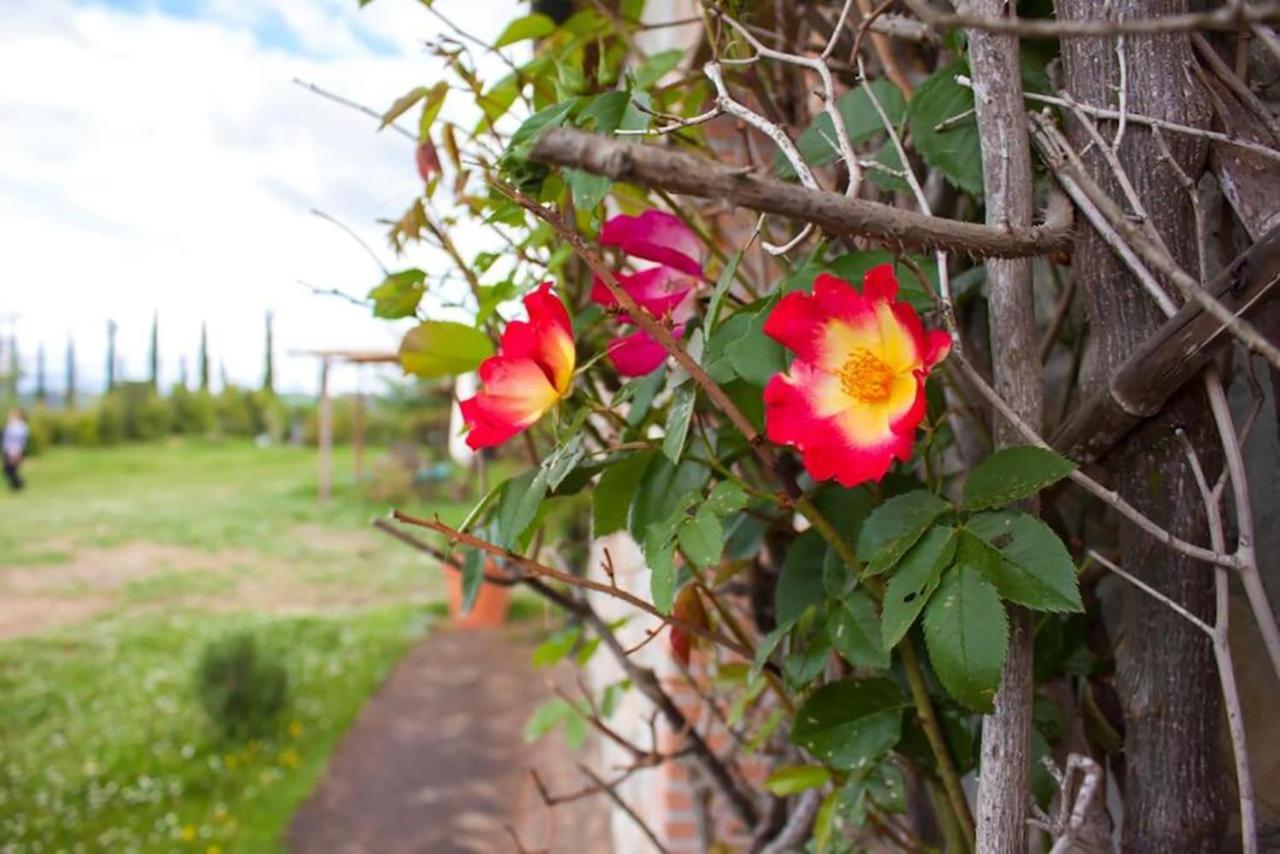 Agriturismo Fattoria Di Statiano โปมารันเช ภายนอก รูปภาพ